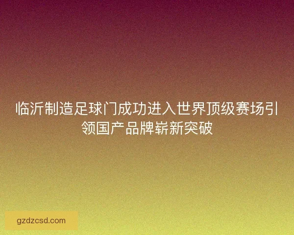 临沂制造足球门成功进入世界顶级赛场引领国产品牌崭新突破